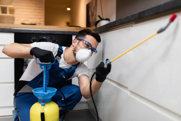 Best Ant Control Services  in Hustisford, WI