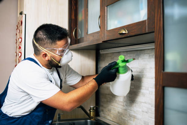 Best Pest Control for Homes  in Hustisford, WI