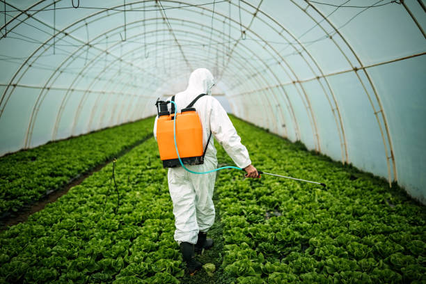 Best Pest Removal Services  in Hustisford, WI