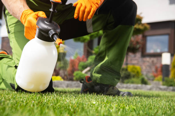 Best Emergency Pest Control  in Hustisford, WI