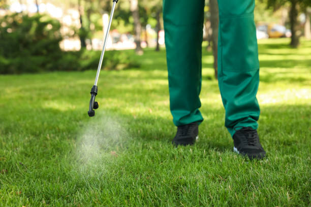 Best Rat Extermination Near Me  in Hustisford, WI