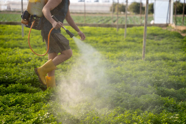 Best Wasp Removal Services  in Hustisford, WI
