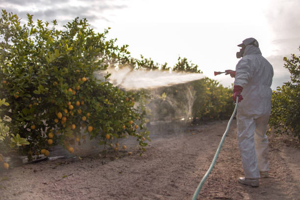 Best Emergency Pest Control  in Hustisford, WI