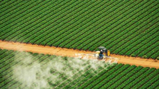 Best Termite Control Services  in Hustisford, WI