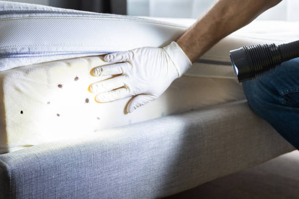 Best Mosquito Control Services  in Hustisford, WI