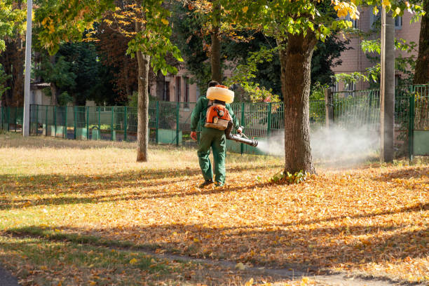 Best Flea Control Services  in Hustisford, WI