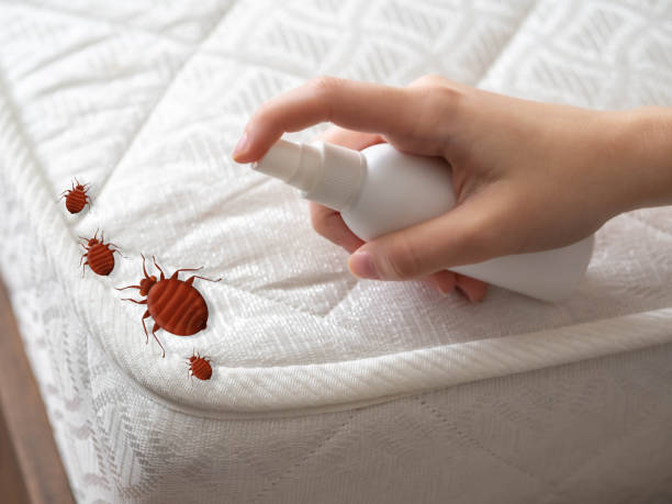Best Best Pest Control Near Me  in Hustisford, WI