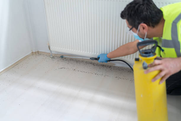 Best Commercial Pest Control Services  in Hustisford, WI
