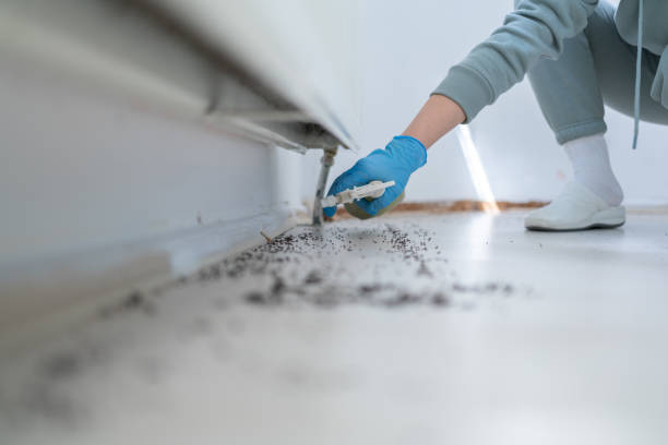 Best Termite Control Services  in Hustisford, WI